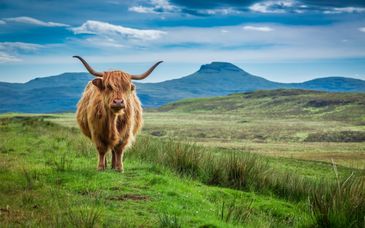 Escocia Mística en 7, 8 o 9 noches