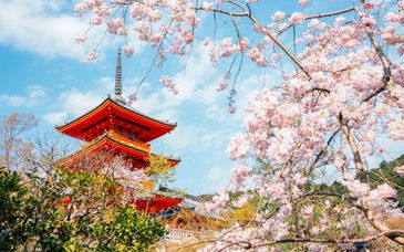Circuito en libertad: Japón de Este a Oeste en 11, 13 o 15 noches