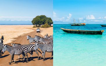 Safari en Tanzania y estancia en Sea Cliff Resort & Spa 5*