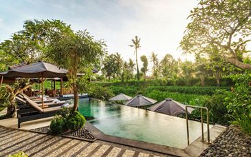 Tour por Ubud y Kuta con posible extensión a Gili Trawangan