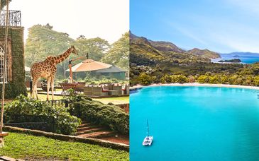 Safari de 4 o 6 noches y estancia en Constance Ephelia