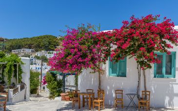 Circuit en liberté : Entre histoire millénaire et horizons azurs 