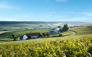 Best Western Le Relais du Vigneron