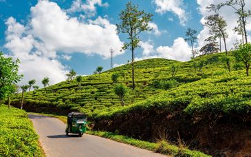 Circuit privé : Des rivages du sud aux secrets du nord