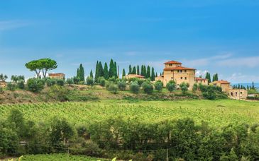 Road-trip : Cyprès, villages médiévaux et grands vins du Val d'Orcia