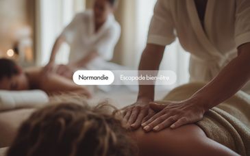 Le Moulin de Fourges 4*