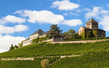 Circuit en liberté en 4* : Aventure au cœur du Rheingau