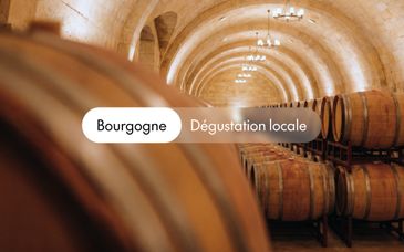 Château de Saulon 4*