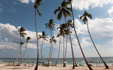 Hôtel Club Coralia Caribe Playa 4*