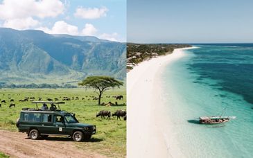Safari Evasion Sauvage en 4* et séjour à Zanzibar