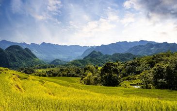 Circuit privé : Nature et culture du Vietnam et extension possible à Mui Ne