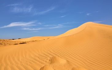 Circuit en groupe : Evasions Sénégalaises et Ôclub Experience African Village Bougainvillées