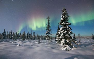 Séjour multi-activités au Elite Frost Hôtel 4*