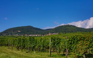 Les Appartements Husseren Collections