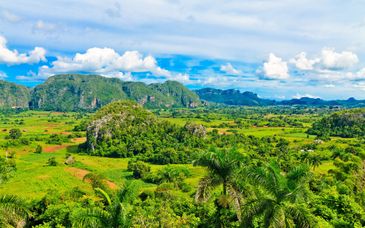 Circuit en liberté : De la capitale cubaine aux côtes paradisiaques