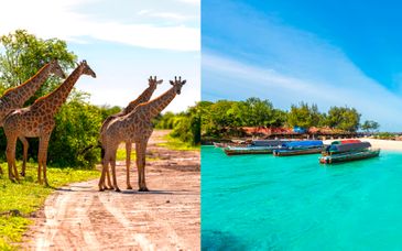 Safari avec extension au Mandarin Resort Zanzibar 4*