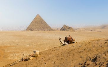 Séjour multi-activités : Des pyramides du Caire à la mer Rouge