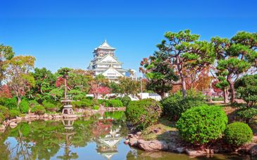 Circuit en liberté : Les essentiels du Japon