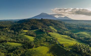 Tour di gruppo da 9 a 16 notti: Esplorazione di Bali ed estensione balneare