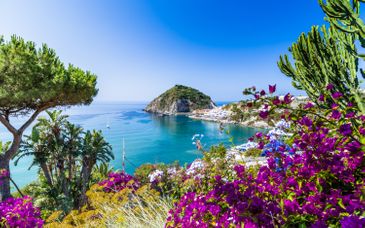 Soggiorno in libertà: Alla scoperta dell'Isola Verde