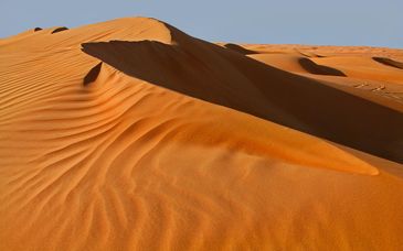 Tour di gruppo: I tesori dell'Oman e possibile estensione all'InterContinental Muscat by IHG 5*