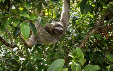 Tour di gruppo: Avventura esclusiva tra flora e fauna