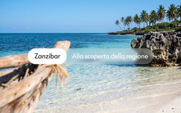 Soggiorno 4* alla scoperta della Tanzania