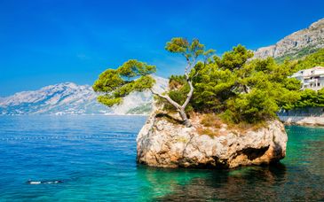 Hotel Salona Palace 4*