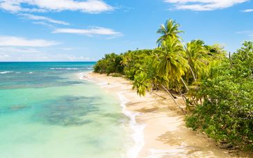 Combinato 5*: Dreams Playa Bonita Panama e Occidental Tamarindo