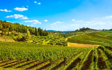 Tour di 2, 3, 4 o 5 notti autunno in Toscana