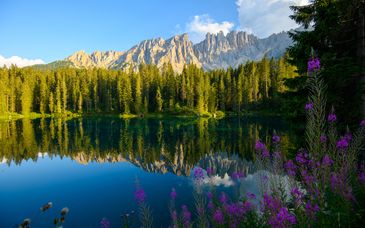 Soggiorno scoperta: Relax totale nelle Dolomiti con soggiorno al Pineta Nature Resort - Wellness & SPA 4*