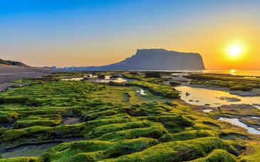 Soggiorno in libertà: Gli essenziali della Corea del Sud con estensione a Jeju