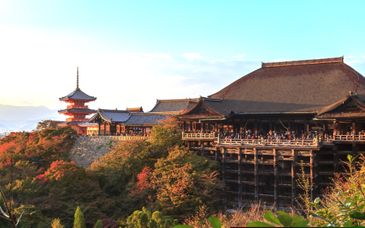 Soggiorno in libertà: Nel cuore del Paese