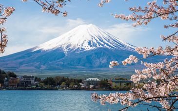 Tour degli imperdibili del Giappone
