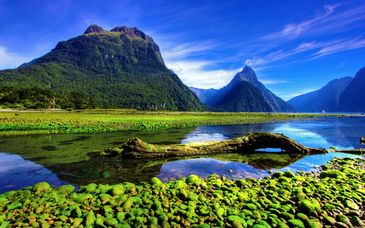 Tour della Nuova Zelanda con guida parlante italiano