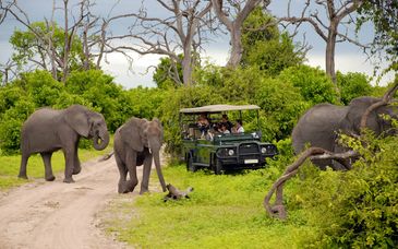Avventura in Botswana