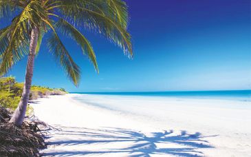 Memories Flamenco Beach Resort 5*