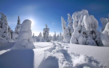 L'incanto della Lapponia Finlandese