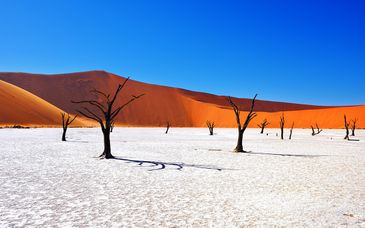 Tour Namibia Adventure