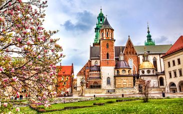 Varsavia, Cracovia, Auschwitz e Breslavia con accompagnatore in italiano