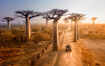 Evasione nelle avventurose terre del Madagascar