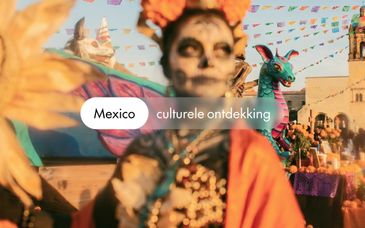 Groepsrondreis van 4 nachten door Mexico + optioneel Dreams Puerto Morelos Resort & Spa 5*