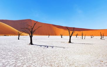 Groepsrondreis van 11 nachten door Namibië