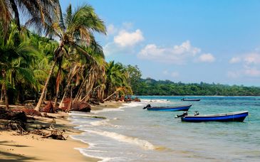 Groepsrondreis van 9 tot 21 nachten in Costa Rica