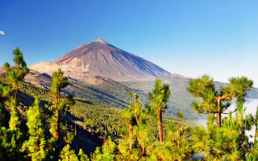 Hotel Taro Santa Cruz