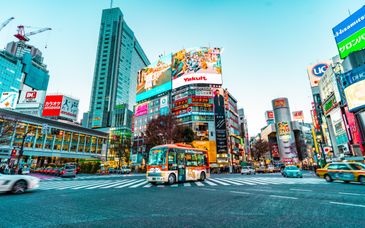 16 night tour: Ultimate Japan Adventure