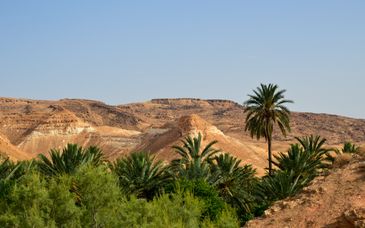 7-night group tour: Desert adventure