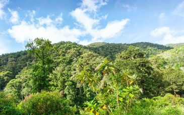 9-15 night road trip: Costa Rica from jungle to sea