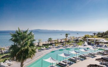 Blue Carpet Luxury Suites