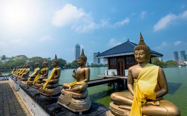 9–13 night private tour: Sri Lanka’s temples & coast